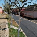 STR.MĂRĂȘEȘTI
