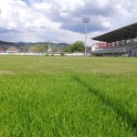 stadion-lipova