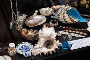 Incursiune în lumea moluștelor: 170 de specii, în expoziție