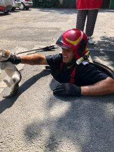 Sfârșit de săptămână cu zeci de intervenții pentru pompierii arădeni