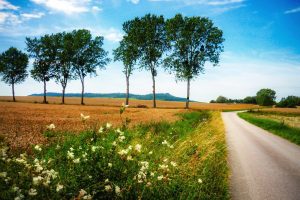Efectele pandemiei. În 2020 s-a dublat fluxul celor ce se mută în mediul rural din mediul urban