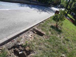 Bănci noi pe dig, până la Podul Traian
