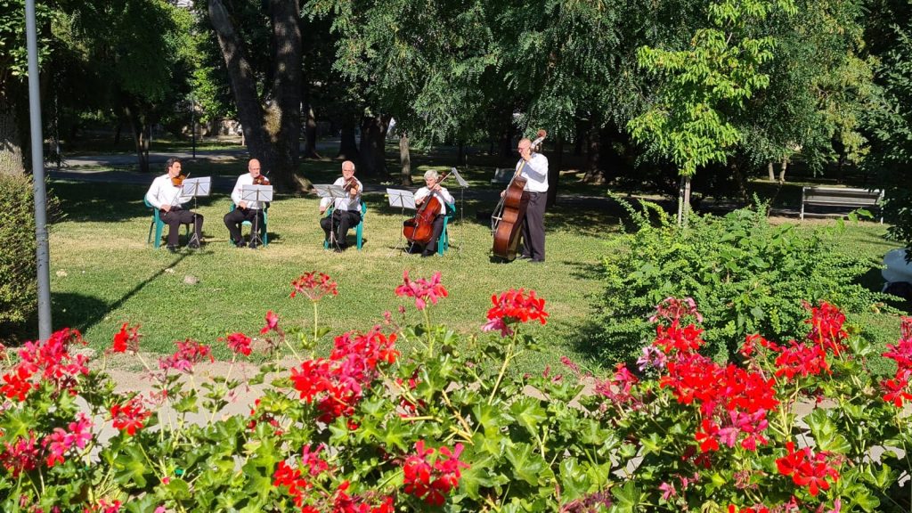Concert de coarde în zona „La băncuţe”