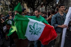 În Italia ar putea avea loc un referendum pentru legalizarea marijuanei