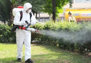 Acțiune de deratizare pe domeniul public, în municipiul Arad