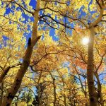 Prognoza ANM pentru luna septembrie. Temperaturi peste cele obișnuite și precipitații deficitare