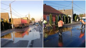 Incident dulce pe DN7: Șosea acoperită de... miere de albine, la Vladimirescu