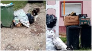 O nouă amendă piperată pentru operatorul de salubritate din zona 3 a județului