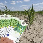 Europa se confruntă cu cea mai severă secetă din ultimii 13 ani