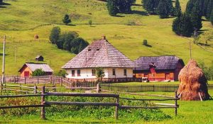 vacante-la-tara
