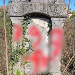 Tineri din județul Arad, cercetați pentru afilierea la organizații naziste. Profanau morminte și lipeau stickere cu însemne antisemite