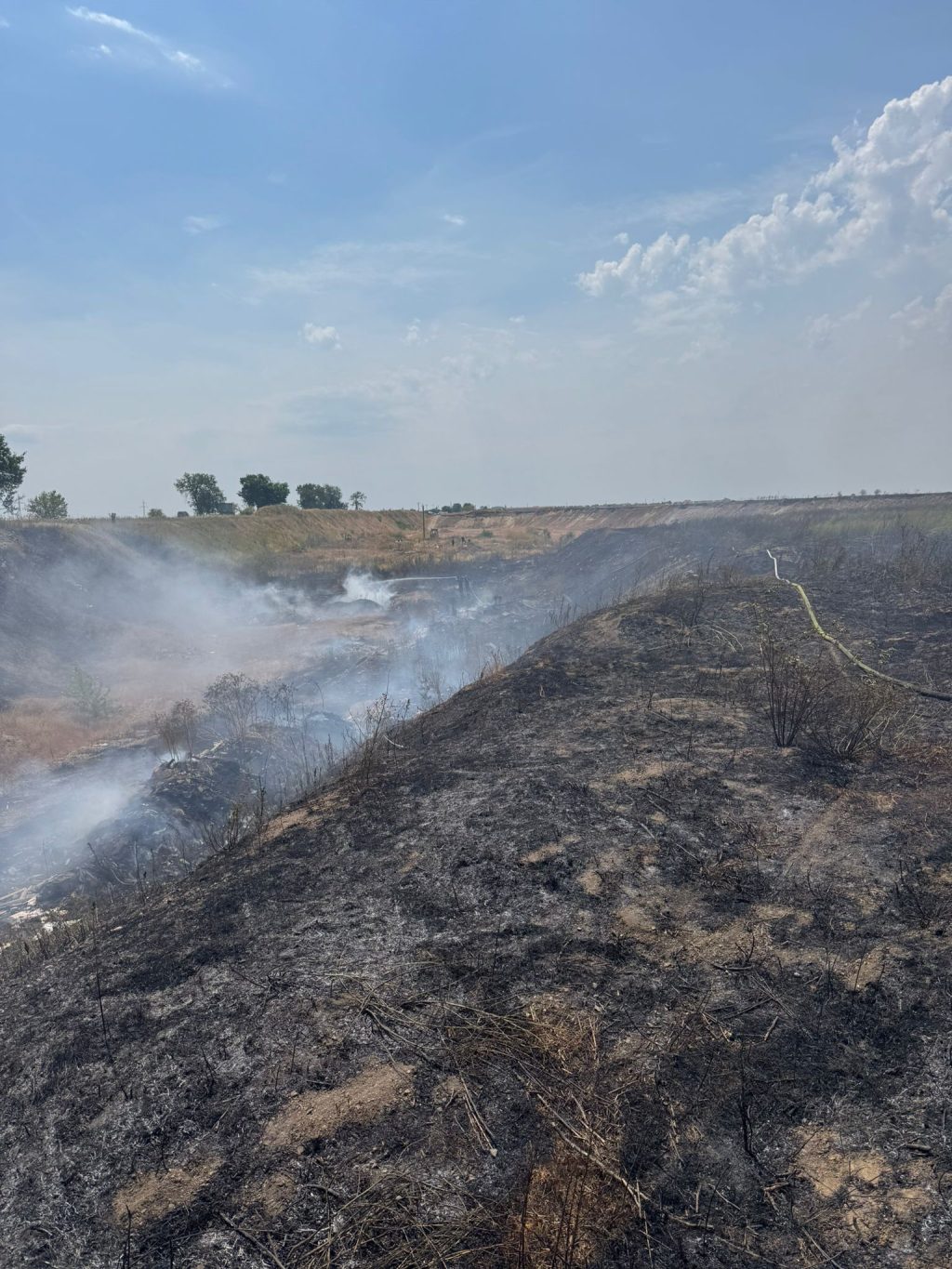 incendiu vegetatie