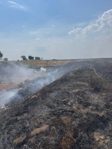 incendiu vegetatie