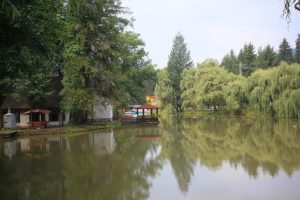 lac moneasa
