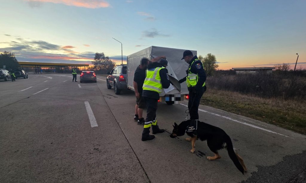 politie frontiera arad