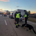 Acțiune de amploare în vămile din Arad și Bihor: peste 2.500 de persoane și vehicule verificate în doar două zile