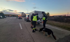 politie frontiera arad